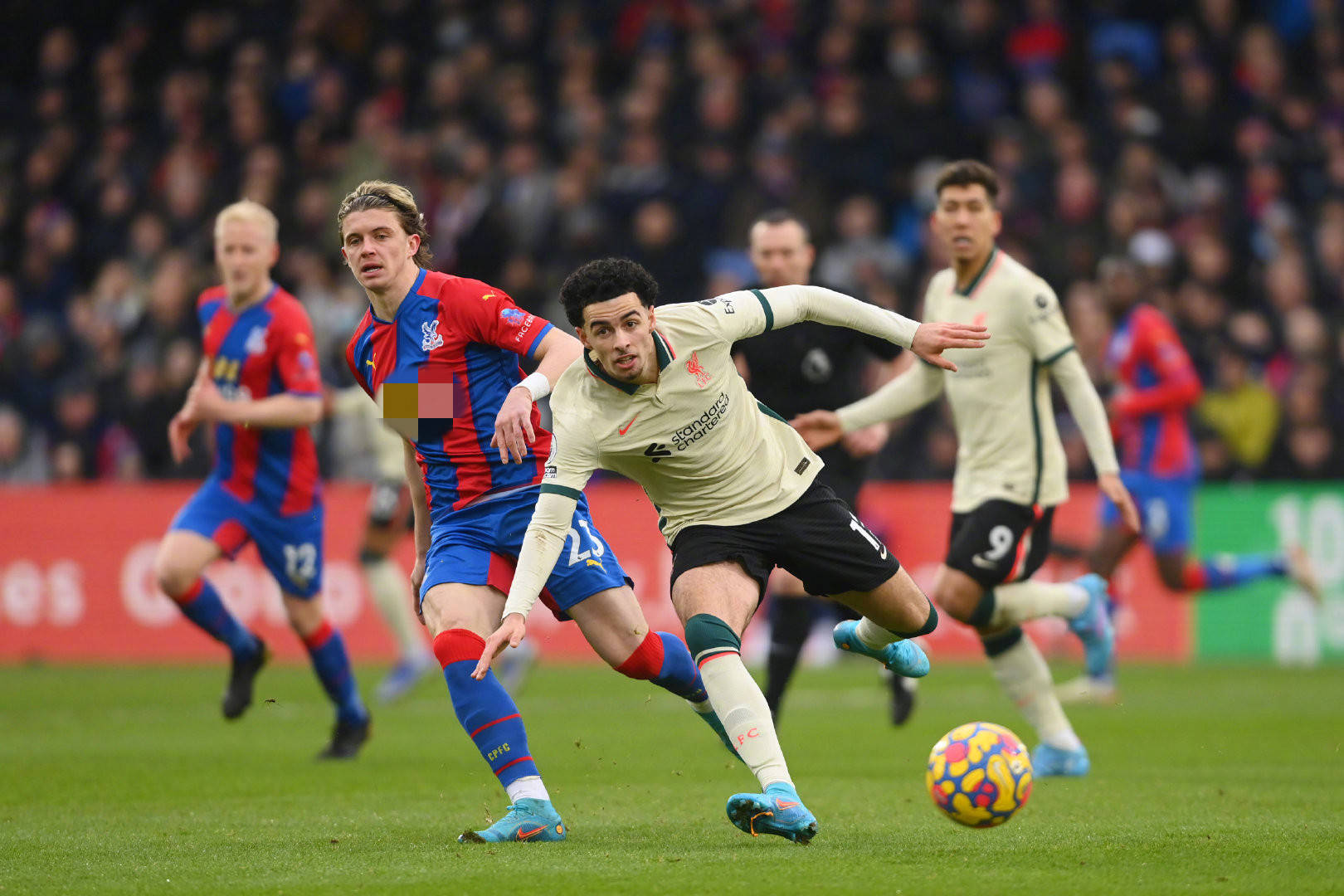 味着法国队 味着法国队